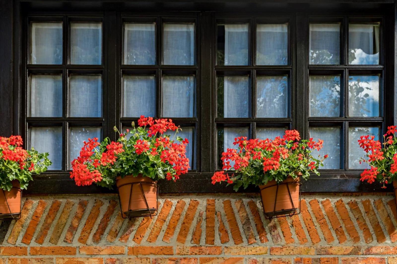 La Posada De Langre Langre  Eksteriør billede